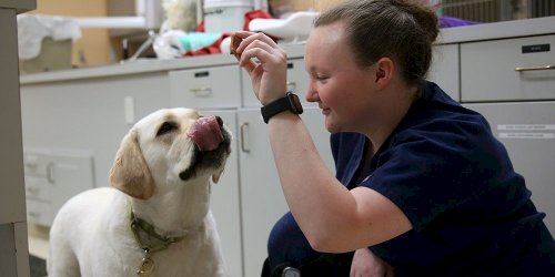 Betty Baugh's Animal Clinic in Richmond, VA