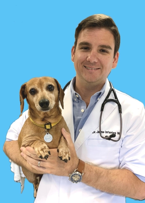 Jaime Infantes W., DVM